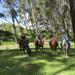 Mystical Horseback Riding Tour from Cusco 