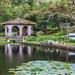 Green Mountains of Matagalpa and Coffee Tour