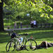 Central Park Bike Tour