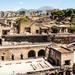 Herculaneum Ruins Private Half-Day Tour