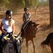 Horse Riding Excursion from Seville