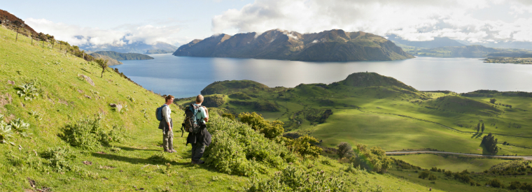 New Zealand Tours, Travel & Activities