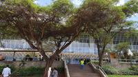 Addis Ababa Private Airport-Hotel Transfer Private Car Transfers