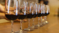 Wineries Only Tour Near The Woodlands Houston Area