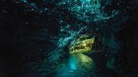 Private Tour: Waitomo Caves Day Trip from Auckland