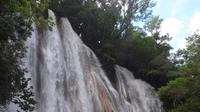 Excursión y aventura a Cascada del Limón en el bosque tropical de Samaná
