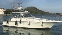 Viaje privado de pesca de caza mayor de medio día