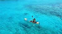 Kayak transparente en Sosúa: la mejor excursión en el mar Caribe
