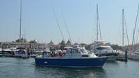 Full-Day Reef Fishing from Albufeira