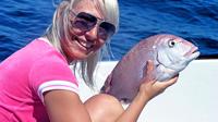 Half-Day Reef Fishing from Albufeira