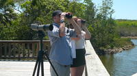 Tour de observación de aves de medio día desde Nassau con guía experto