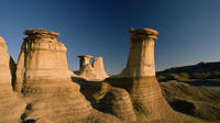 Drumheller and Badlands Full-Day Tour with a Small Group