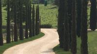 Venice Countryside Tour with Visit to Valpolicella, Wine Tasting and Lunch