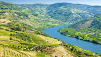 Semi-Private Tour: Wine Region in Douro Valley