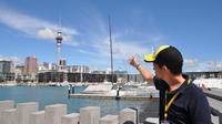 Auckland City Highlights Walking Tour
