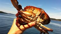 Crab Fishing Tour in Vancouver
