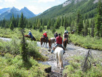Horseback-Riding Tour in Banff with BBQ Lunch