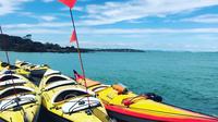 Auckland Rangitoto Island Guided Sunset Kayaking Tour