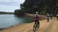 Waiheke Island Bike Tour Including Ziplining from Auckland