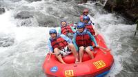 Bali White Water River Rafting
