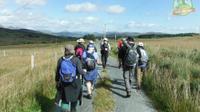 11-Day Ring of Kerry Self-Guided Hike