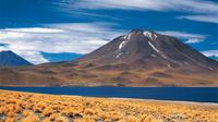 Atacama Salt Flats, Toconao and Altiplanic Lagoons Day Trip