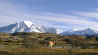 Torres del Paine Day Trip from Puerto Natales