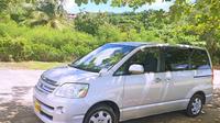 Shared Arrival Transfer: Maurice Bishop International Airport to Hotel