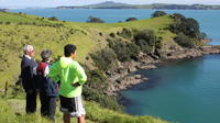 Maori Walking Tour with Wine Tasting on Waiheke Island