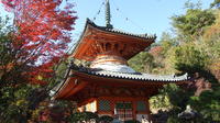 Private Customized Sightseeing Tour in Hiroshima with a Guide