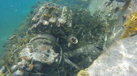 Boat Wreck and Reef Snorkling Eco-Tour