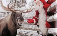 Lapland Ranua Zoo Guided Trip from Rovaniemi with Hotel Transport