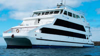 Galapagos Islands Last-Minute Cruise