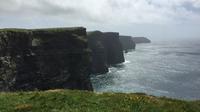 Cliffs of Moher Private Tour from Killarney