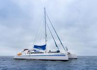 Galapagos Islands Cruise: 5-Day Catamaran Sail Aboard the 'Nemo I'