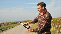 3-Hour Small-Group Champagne Region Vineyard Tour from Reims with Wine Tasting and Picnic