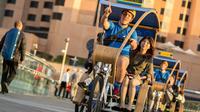 Adelaide City Tour by Pedicab