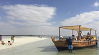 Dolphin Bay: Remote Natural Beach Getaway Day Cruise From Abu Dhabi