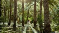 Make Your Own Al Ain City Tour - Private Tour from Abu Dhabi