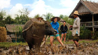 12-Day Thailand and Laos Adventure Tour from Bangkok