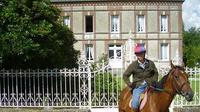 Private Tour: Normandy Thoroughbred Horse Studs with Optional Horseback Riding from Caen