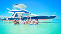 Fiesta en barco y esnórquel durante medio día desde Punta Cana