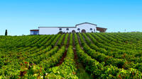 Cagliari: Wine Experience