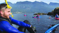 Vancouver Snorkel and Kayak Adventure: Snorkel with Seals