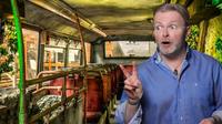 Dublin Comedy Sightseeing: el mejor bus turístico y mucho humor