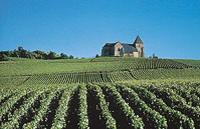 Explore the Champagne region on your day trip from Paris