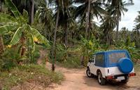 Dominica Shore Excursion: Half Day Jeep Safari