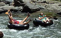 Dominica Shore Excursion: River Tubing Safari