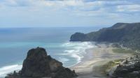 Piha Beach and Wine Tour from Auckland Including Lunch