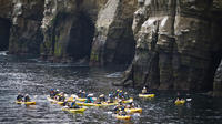 Original Sea Cave Kayak Tour